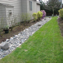 Side yard
