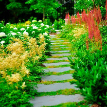 Round House Landscape Project