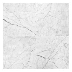 marblesystems - White Carrara C Polished Marble Tiles 2 3/4" x 5 1/2" x 3/8" - Tile