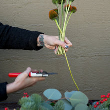 Decorating with plants