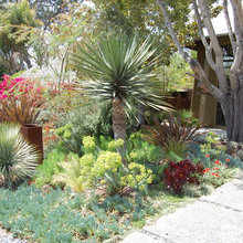 Landscape Ideas