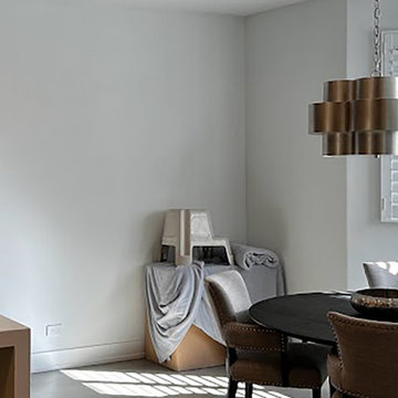 Modern Townhome Remodel