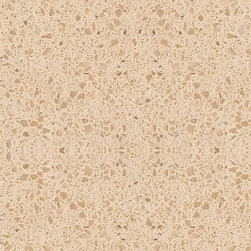 QUARTZ COUNTER TOP AND FLOOR - Kitchen Countertops