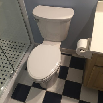 Basement Bathroom - Shower update