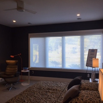 Hunter Douglas Silhouette
