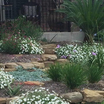 Various Xeriscapes by Team Rhinamic