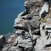 Tyler Scott's photo