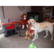 Pat Hable's photo