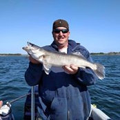 Matt Carstensen's photo
