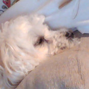 Foto von Anna T