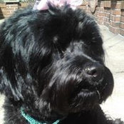 Janet Hochstein's photo