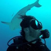 Harry Bristow-Holmes's photo