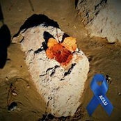 Foto von Karen Bednar