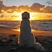 Michael Doubinski's photo