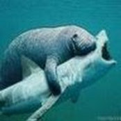Paul La Salla's photo
