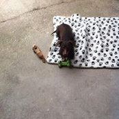 Christie Hayes's photo