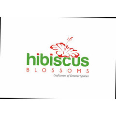 Hibiscus Blossoms