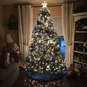 Cheryl Rusnak's photo