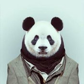 Artem Kuchinskiy's photo