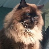 Bev Galvin's photo