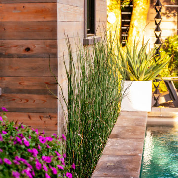 Old Village Oasis