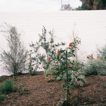 Pacific Palisades Family Garden
