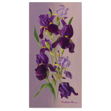 Christopher Pierce 'Study In Lavender' Canvas Art, 24"x47"