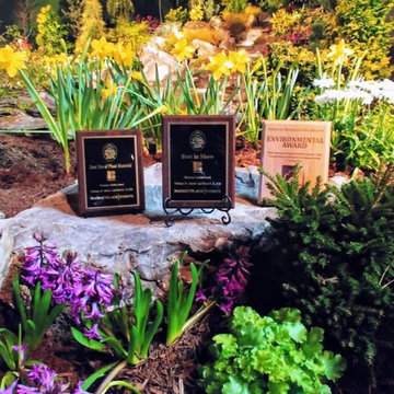 2020 Awards
