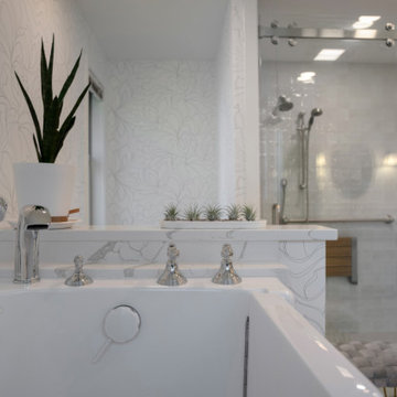 Primary Bathroom for Aging-in-Place