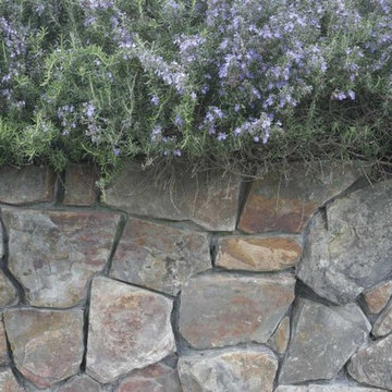 Natural Stone