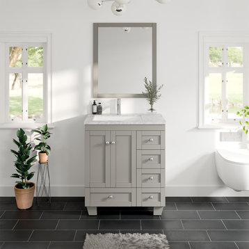 Eviva Happy 30 inch x 18 inch Gray Transitional Bathroom Vanity with  Carrara