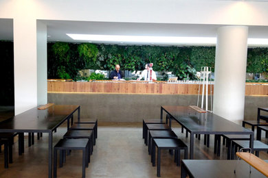 Création d'un mur végétal pour un restaurant