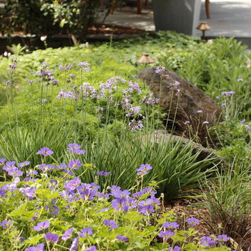 PETITE WILD MEADOW