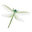 dragonflyjkd
