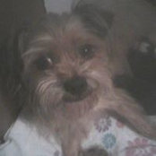 Peggy Headrick's photo