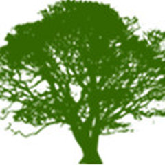 Capital Tree Service