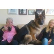 Sharon Power's photo