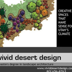 Vivid Desert Design