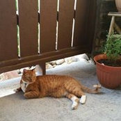 Vicki Arterburn's photo