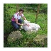 Kathryn Marshall's photo