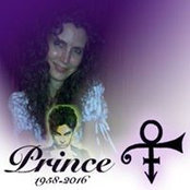 Cyndi Seven's photo
