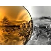 David Mescall's photo