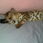 Diane Breard's photo