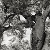 James G Mergens's photo