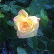 Madhu Preetha Prashanth's photo