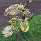 Birgit Duerre's photo
