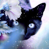 Foto de Amy B