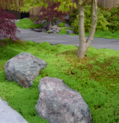 Modern Japanese Garden at Design Studio