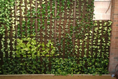 De Paul Halstead Living Green Wall
