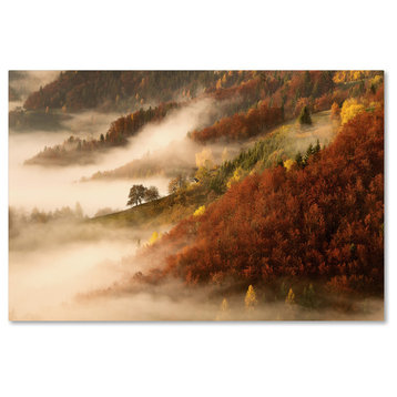 Bor 'Novembers Fog' Canvas Art, 22x32